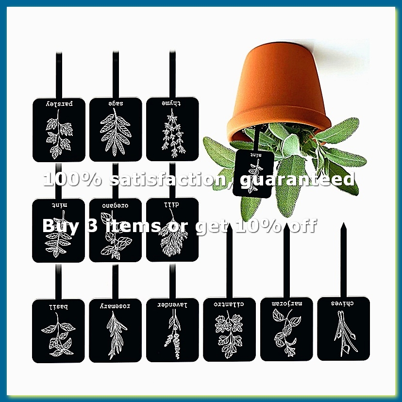 Gardening Tools With Names - 24 Stück Acryl-Pflanzenetiketten, 12 Stile, Gartenmarkierungen,
