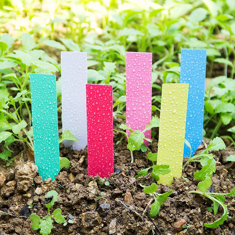 Garden Label Marker - 100 stücke Dicke 4 zoll Pflanzen
