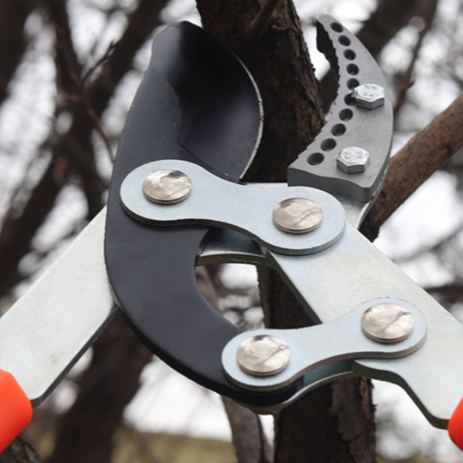 Pruning Shears - Teleskopische Astschere mit Scharfer Klinge, Robuste