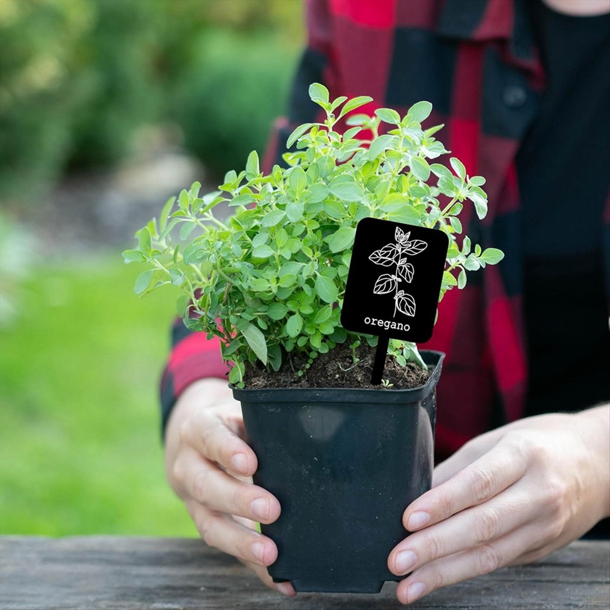 Gardening Tools With Names - AA14 24 Stück Acryl-Pflanzenetiketten 12 Stile