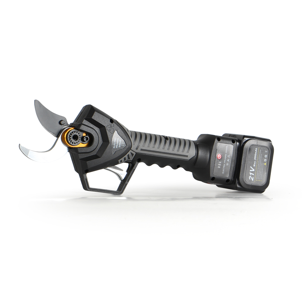 21 V elektrische Stangenschere – Pruning Shears Bewertung und Preis
