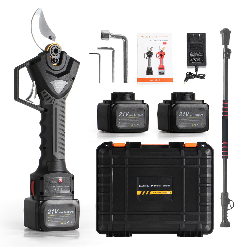 21 V elektrische Stangenschere – Pruning Shears Bewertung und Preis