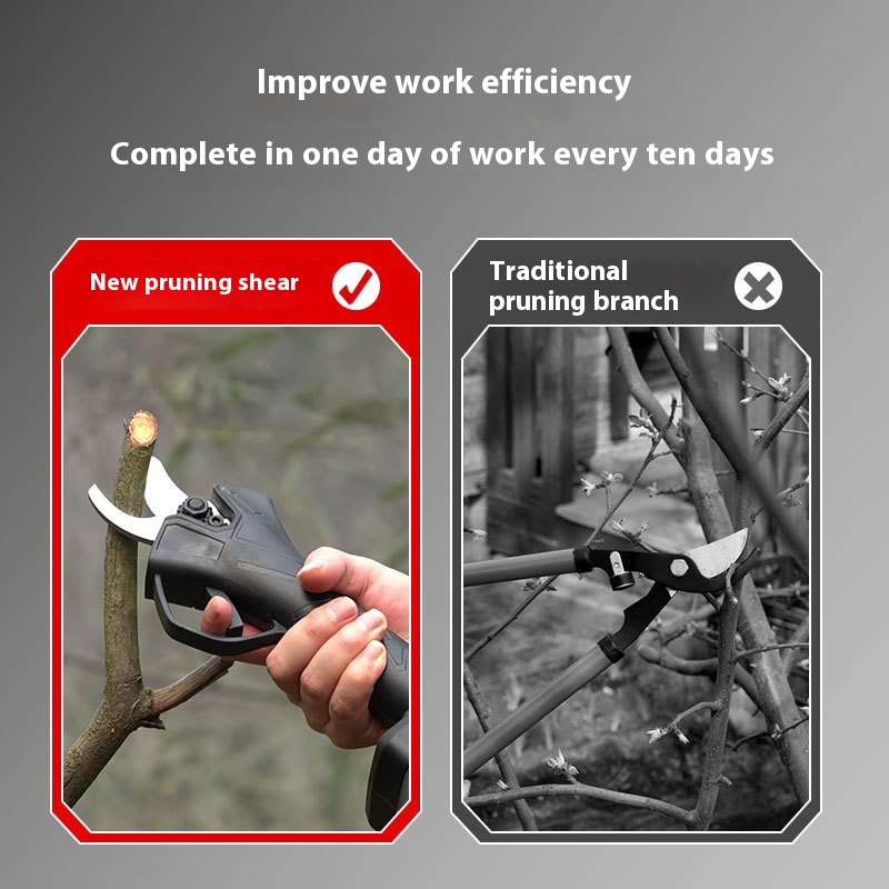 Tragbare kabellose elektrische – Pruning Shears Bewertung und Preis