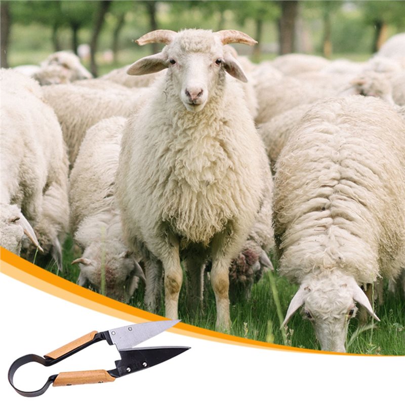 【SCHNÄPPCHEN】Robuste 13-Zoll E – Gardening Tools Deals Bewertung und Preis