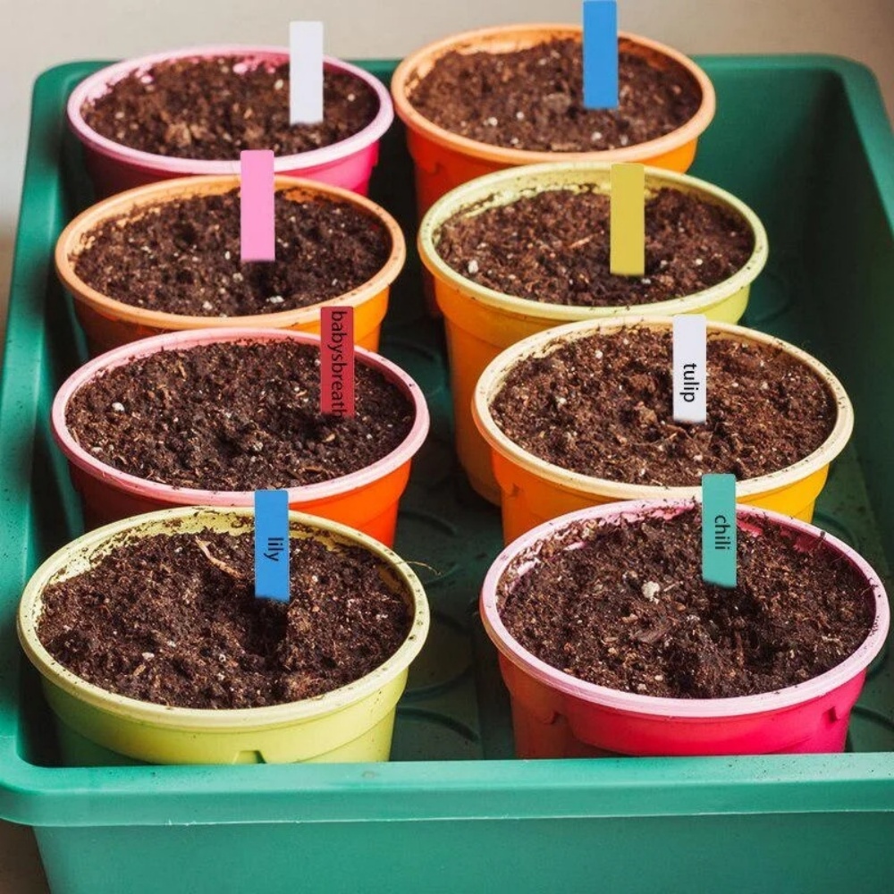 100 Stück Garten-Pflanzenetike – Garden Label Marker Bewertung und Preis
