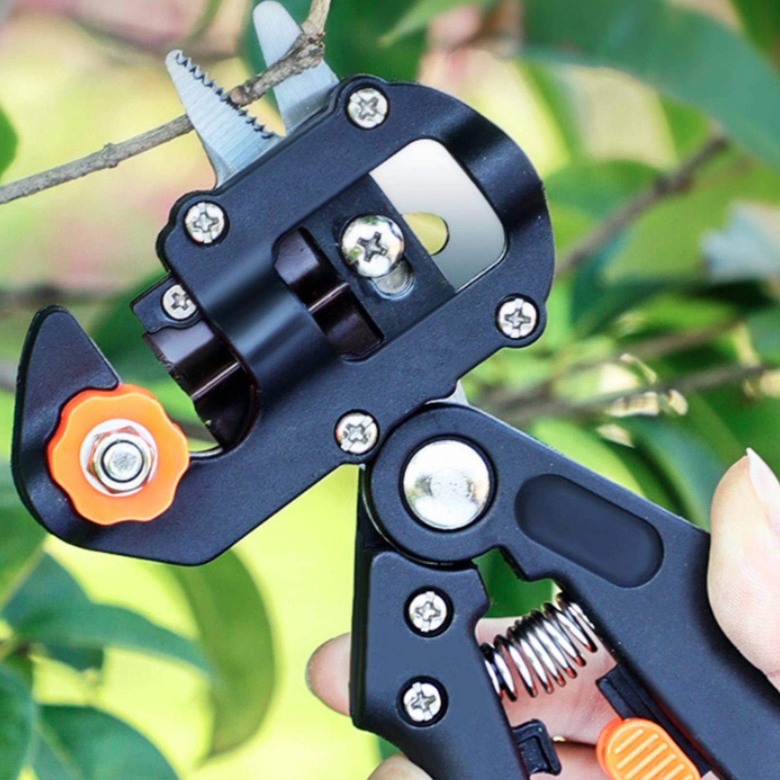 2-in-1 Veredelungs- und Schnit – Pruning Shears Bewertung und Preis