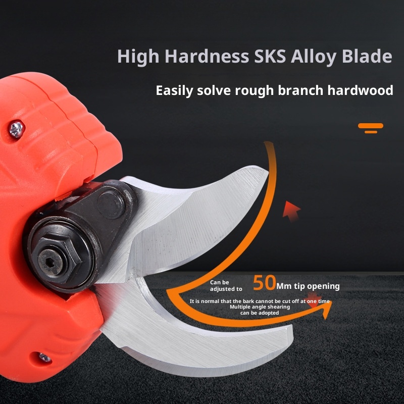 Elektrische Astschere für hohe – Pruning Shears Bewertung und Preis