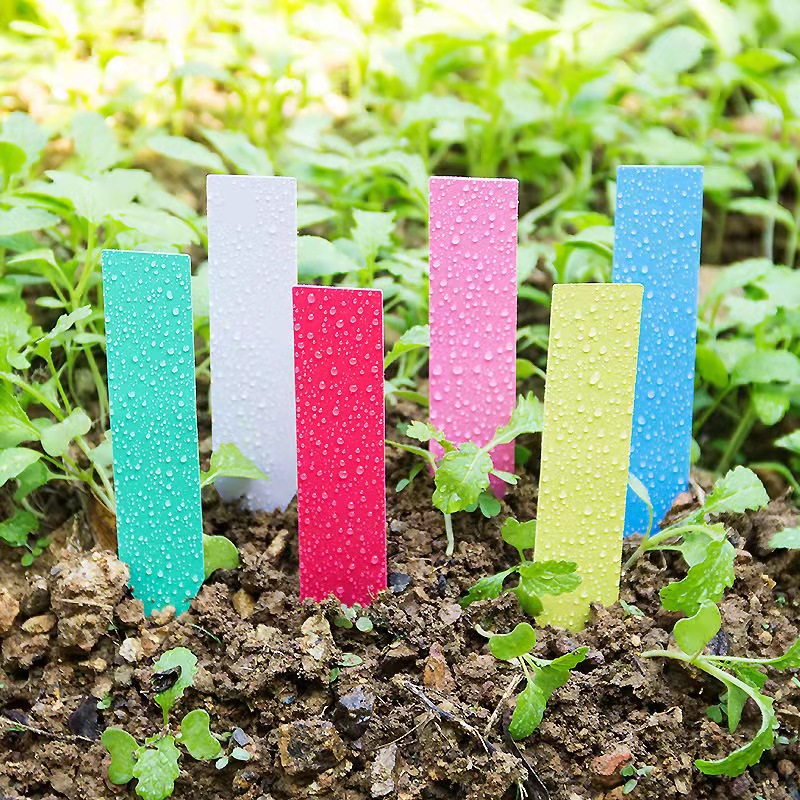 100 Stück Gartenpflanzen-Etike – Garden Label Marker Bewertung und Preis
