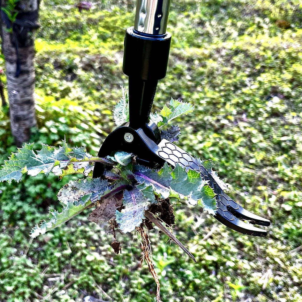 Sparen Sie den Arbeitshand-Unk – Gardening Tools You Need Bewertung und Preis