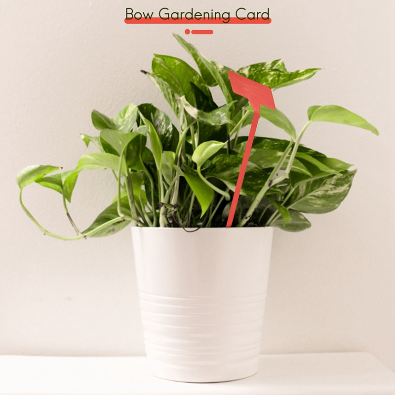 ABYP Gardens Pflanzwerkzeuge,  – Garden Label Marker Bewertung und Preis