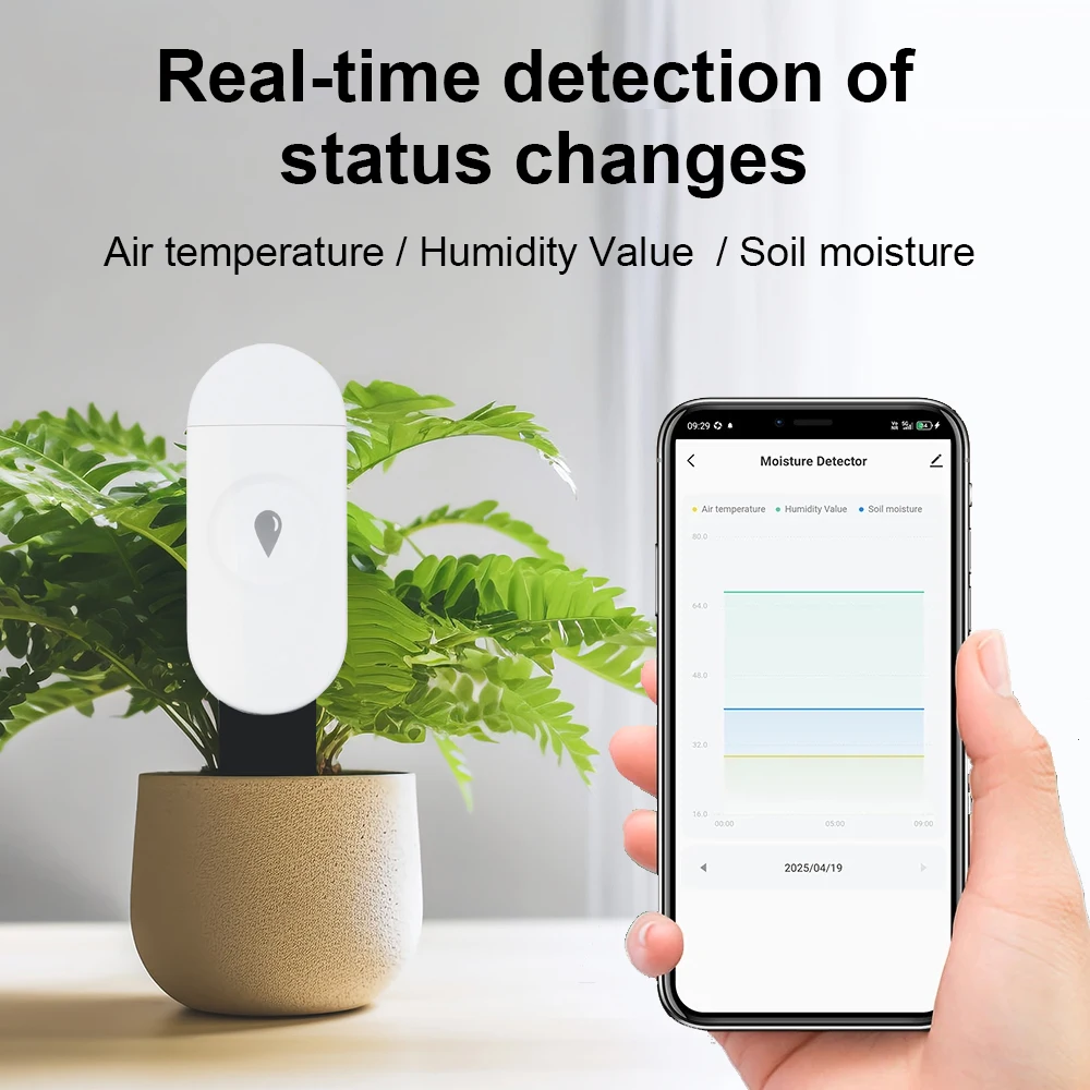 Tuya Zigbee Temperatur Feuchti – Moisture Meter Plant Bewertung und Preis