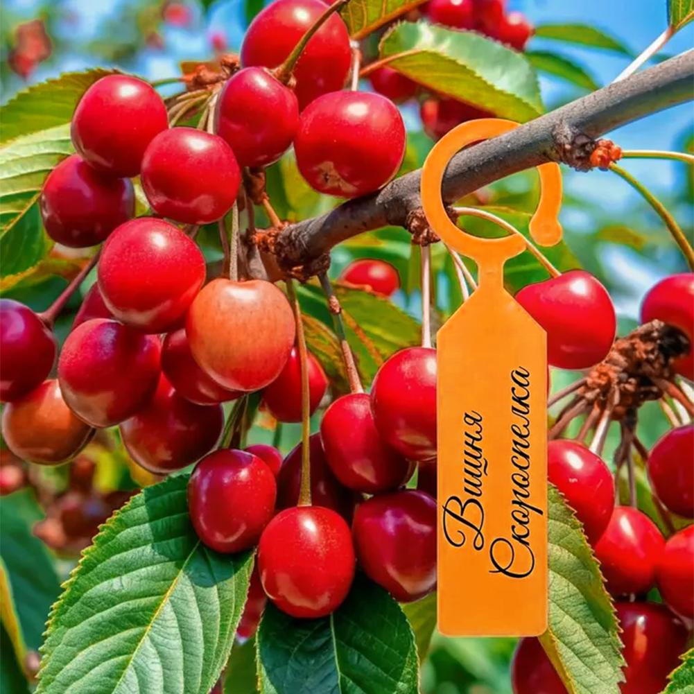 Garten-Pflanzetikettenringe mi – Garden Label Marker Bewertung und Preis