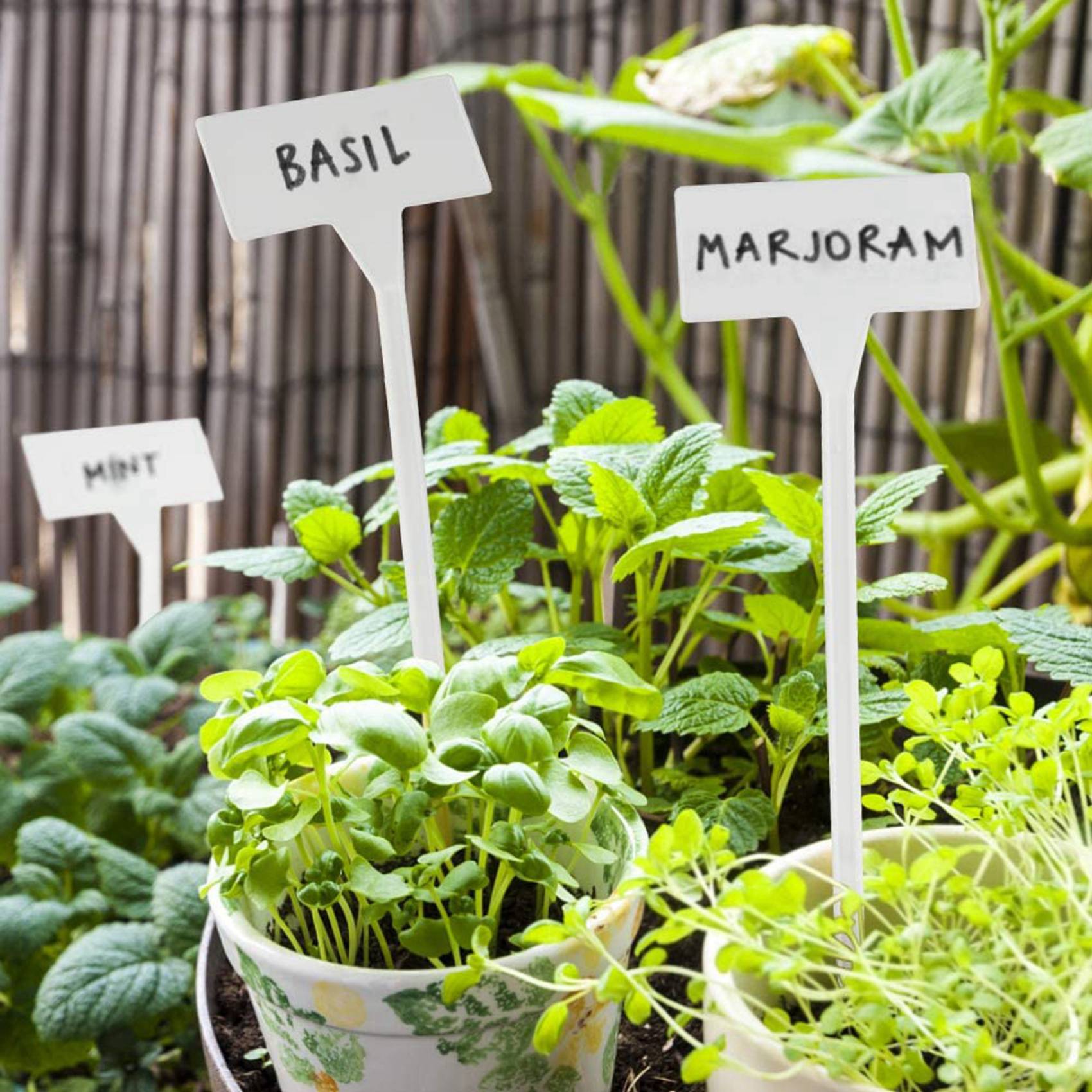VEHO-80 Stück Pflanzenetikette – Garden Label Marker Bewertung und Preis