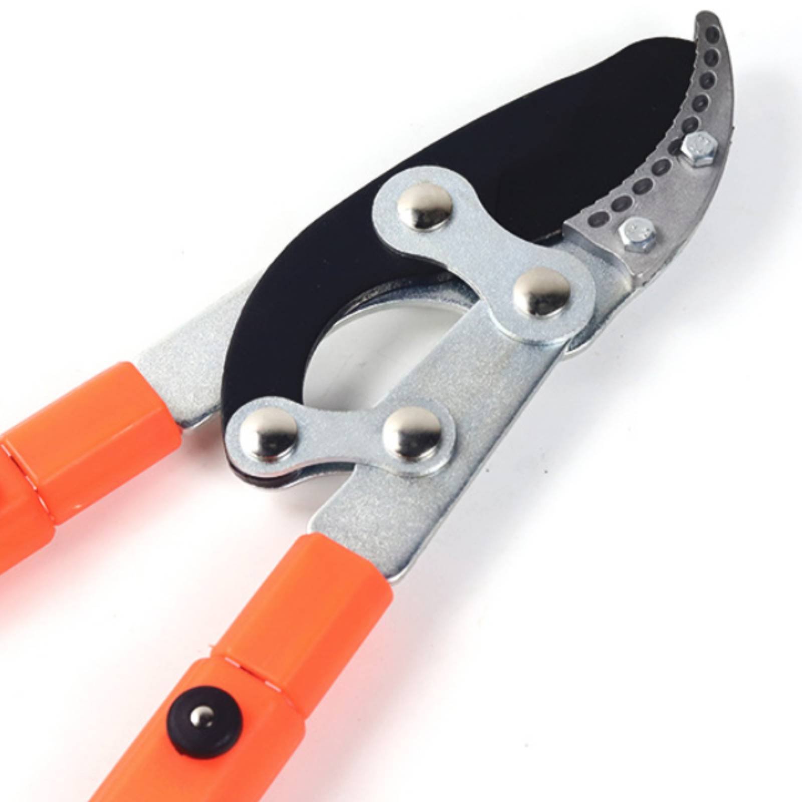 Teleskopische Astschere mit Sc – Pruning Shears Bewertung und Preis