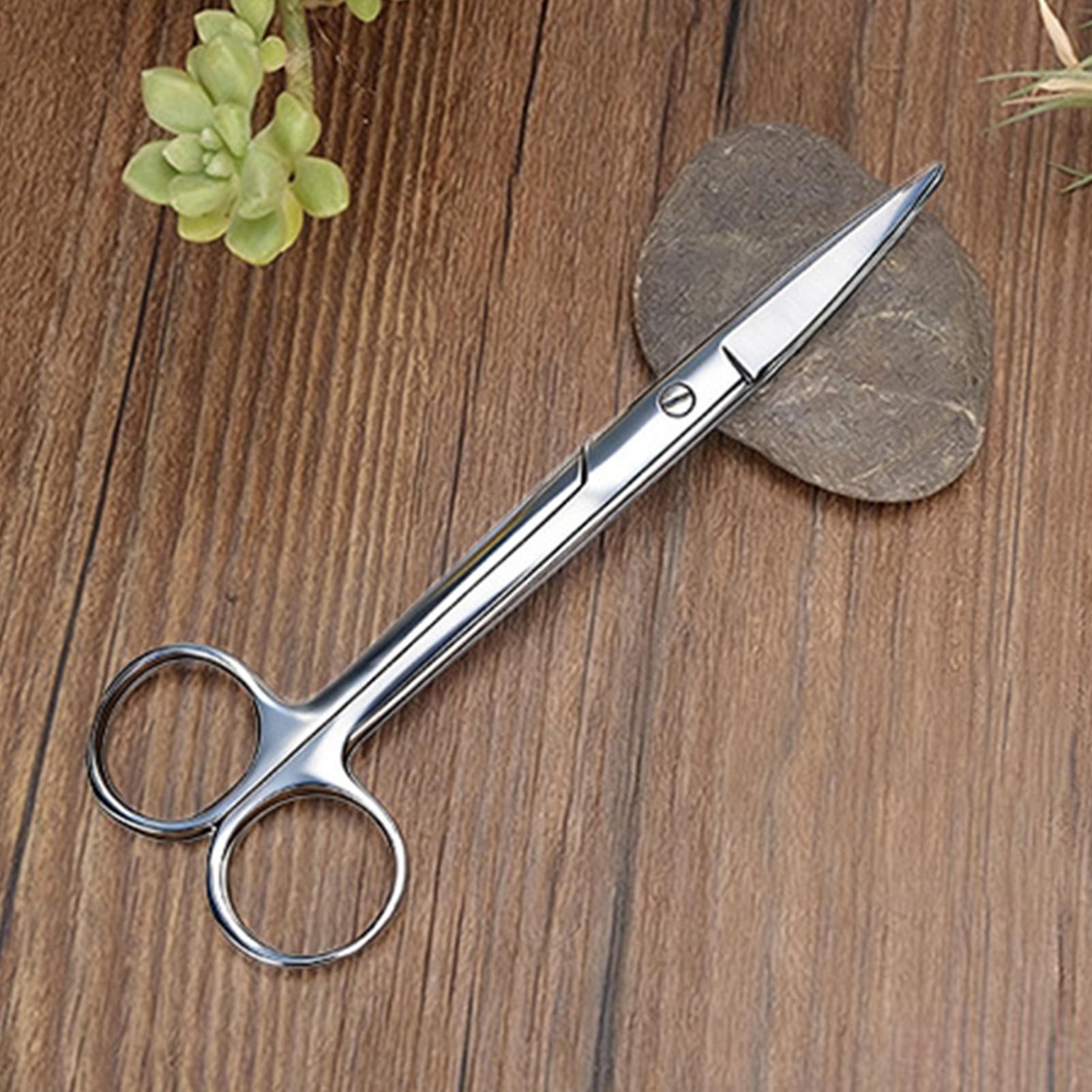 Pflanzenschere aus Edelstahl,  – Pruning Shears Bewertung und Preis