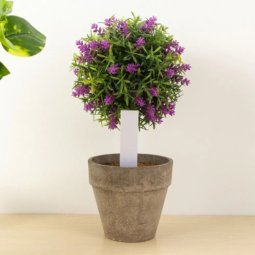 100 Stück wiederverwendbare Kl – Garden Label Marker Bewertung und Preis