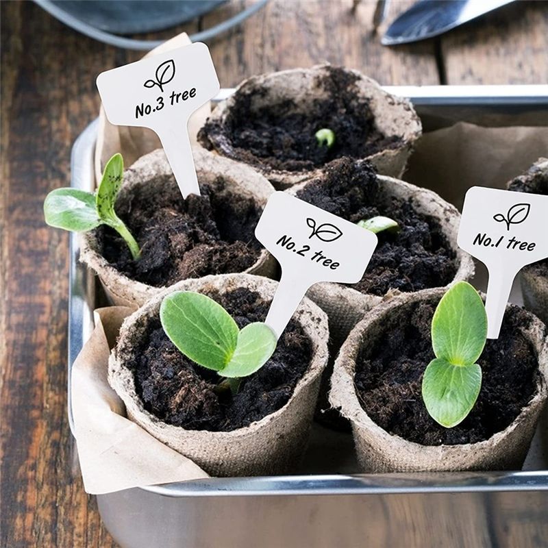 RANA Pflanzenetiketten, 300 St – Gardening Tools With Names Bewertung und Preis