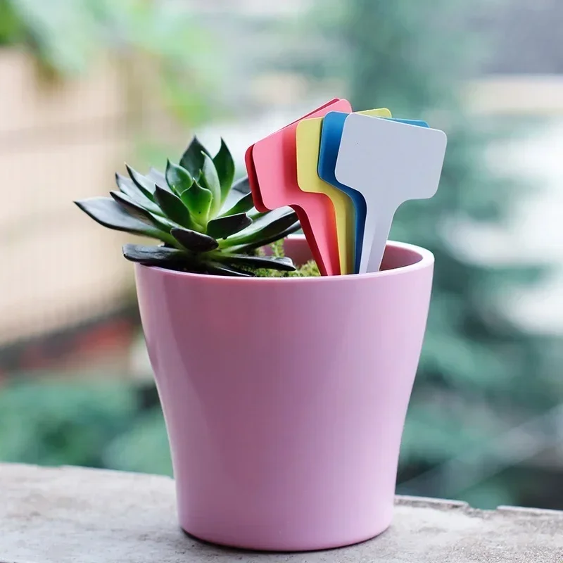 20 Stück wasserdichte Pflanzen – Gardening Tools With Names Bewertung und Preis