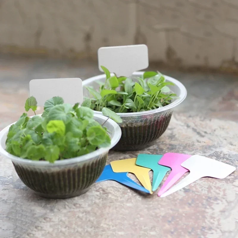 20 Stück wasserdichte Pflanzen – Gardening Tools With Names Bewertung und Preis