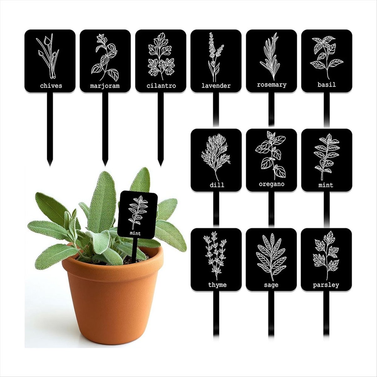 AA14 24 Stück Acryl-Pflanzenet – Gardening Tools With Names Bewertung und Preis