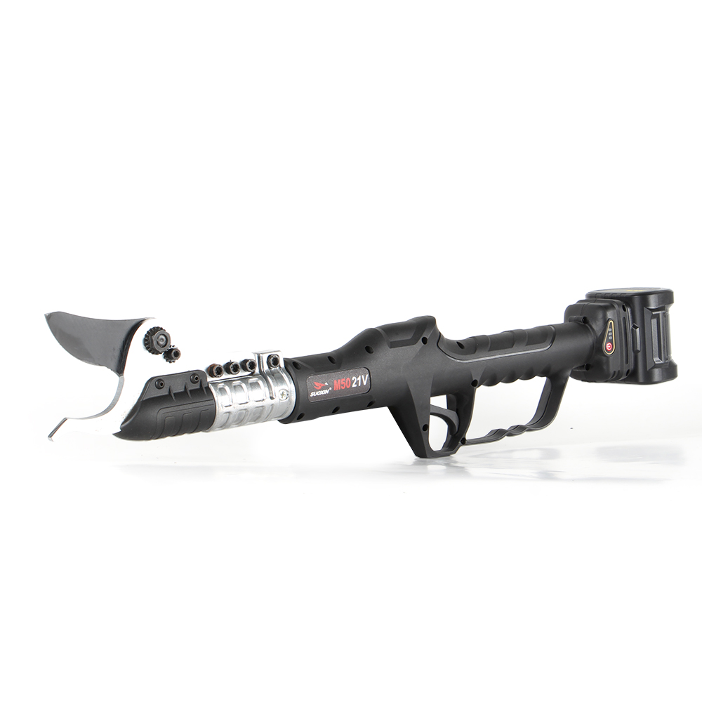 2,0 Zoll Teleskop-Elektro-Asts – Pruning Shears Bewertung und Preis